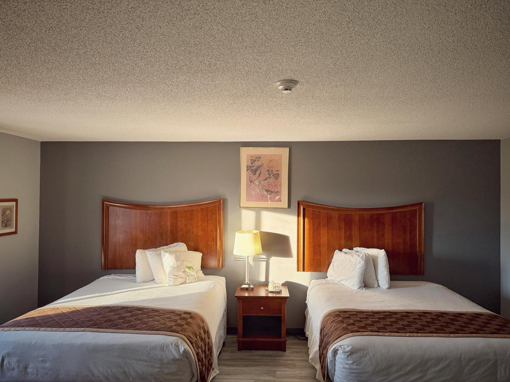 Lake Tree Inn & Suites Marion Zewnętrze zdjęcie